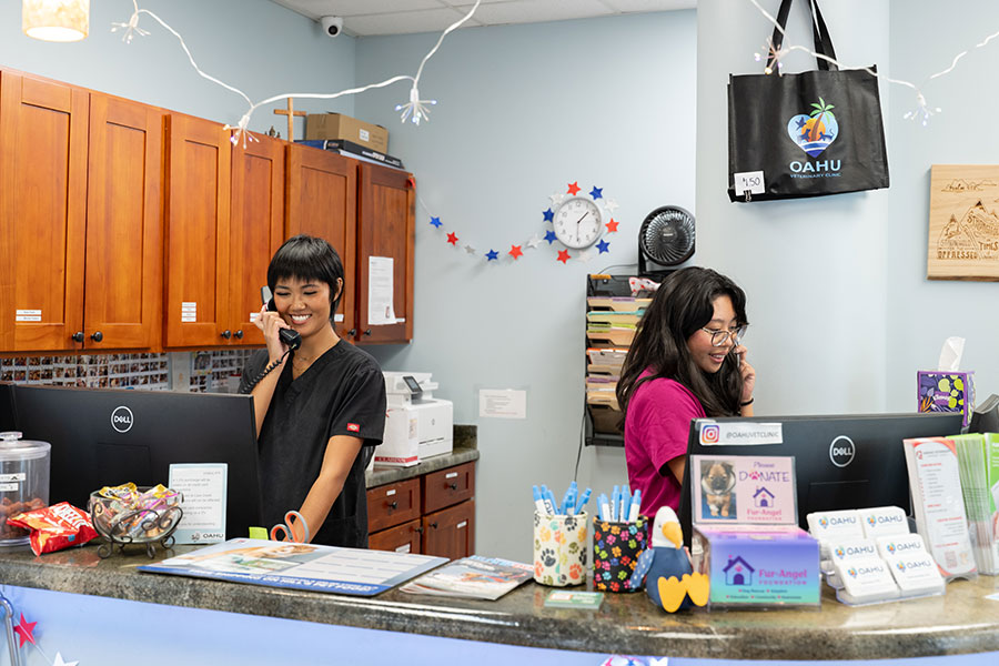 about our veterinary practice